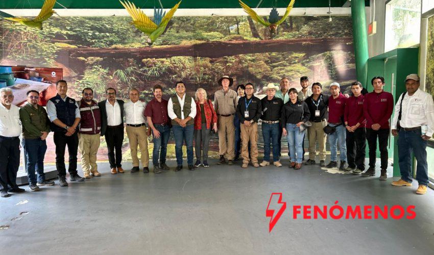 Coordinan estrategia para evitar propagación del gusano barrenador en fauna silvestre