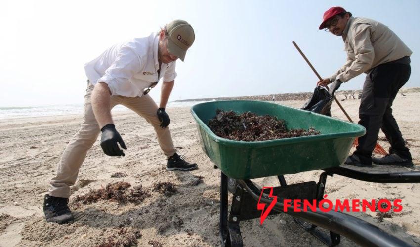 Suma Tamaulipas esfuerzos con la Federación para conservar playas y costas