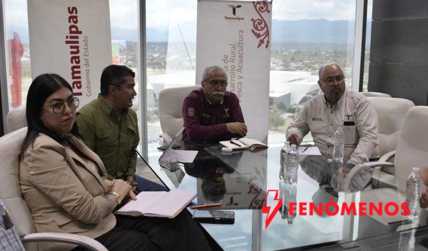 Estructura Tamaulipas proyecto para elevar la producción de carne de calidad