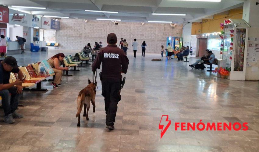 Fortalece Guardia Estatal vigilancia en central de autobuses