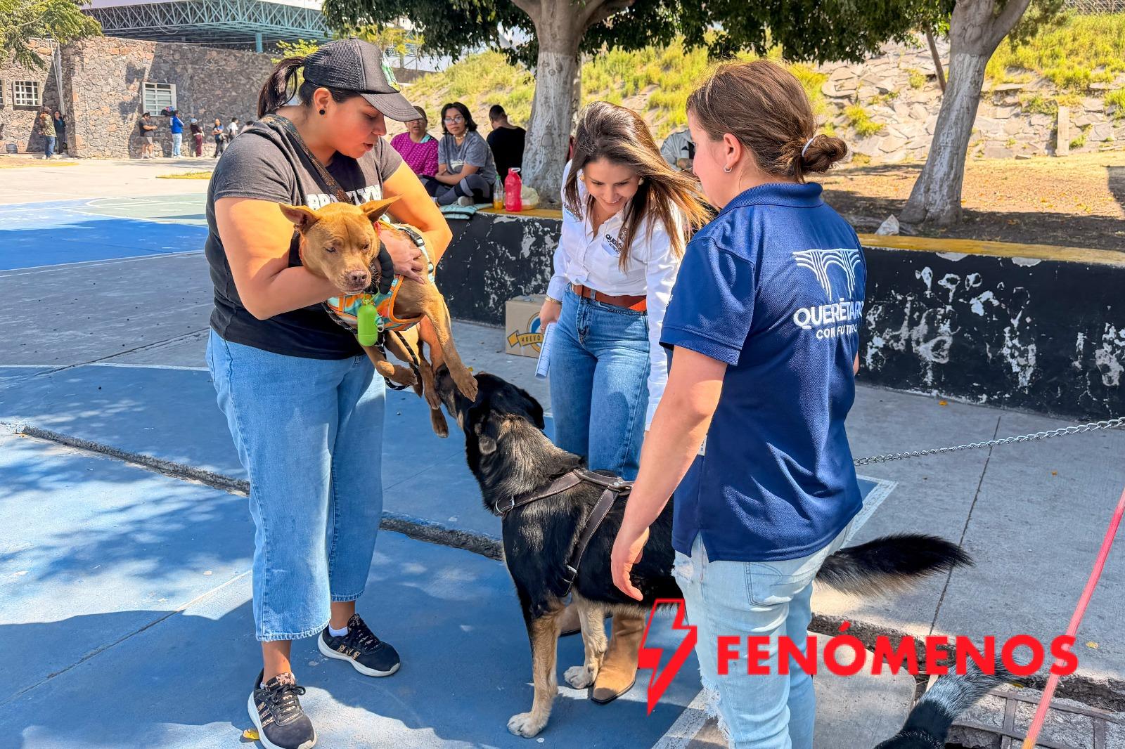 Impulsa Felifer Macías el bienestar de los seres sintientes con acciones integrales en todo el municipio