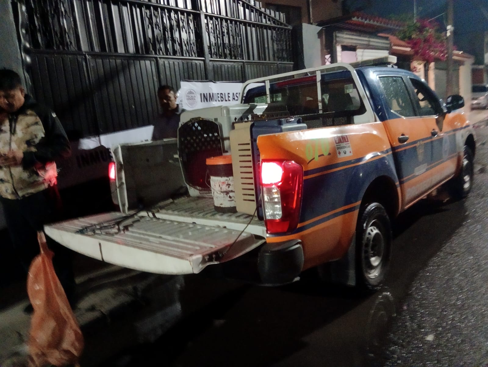 Imagen de Vela Felifer Macías para salvaguardar la integridad de los animales de compañía en situación de riesgo o vulnerabilidad 3