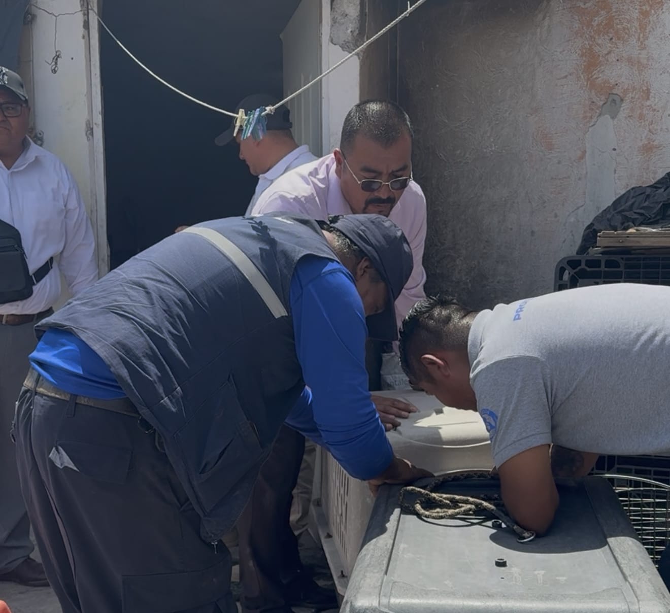 Imagen de Vela Felifer Macías para salvaguardar la integridad de los animales de compañía en situación de riesgo o vulnerabilidad 4