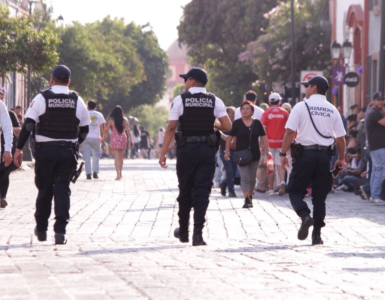 WhatsApp Image 2026-04-13 at 11.23.25 AM Imagen de Saldo blanco durante periodo vacacional en el municipio de Querétaro 14