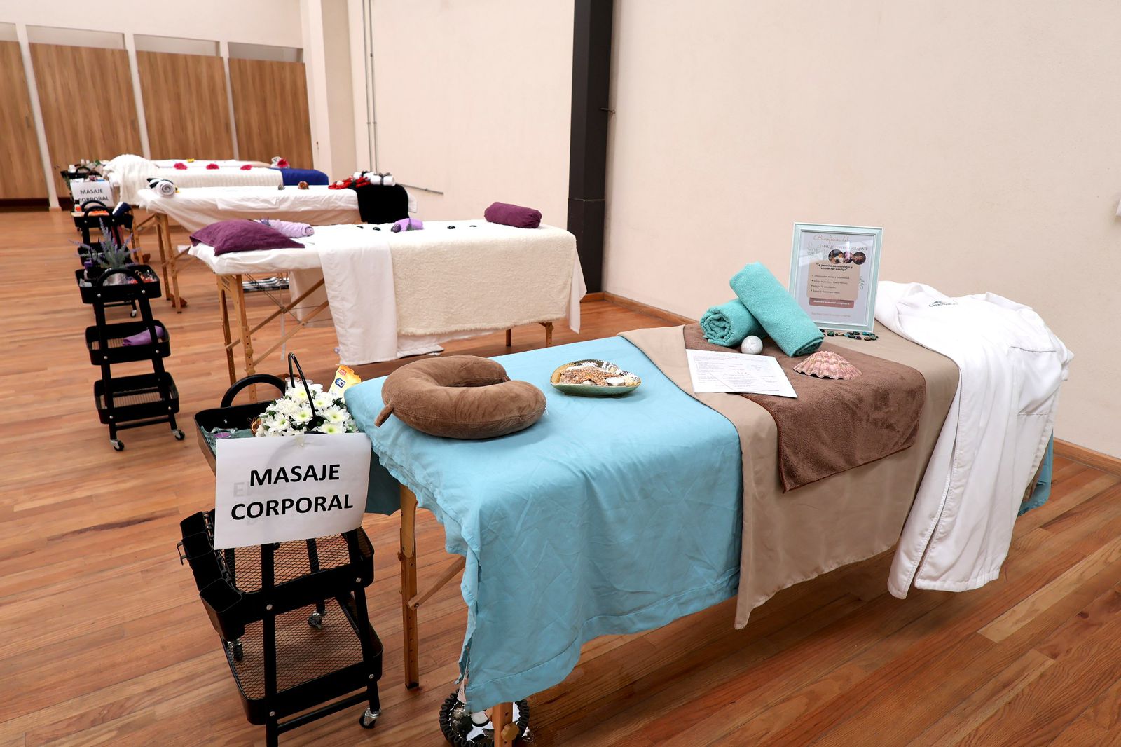 Imagen de Fortalece Felifer Macías acciones para que las mujeres vivan libres de violencia y mejoren su economía 25