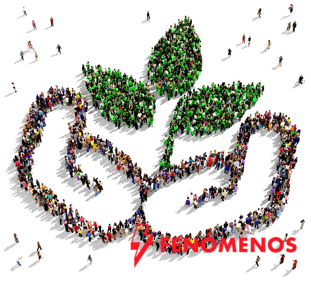 Buena gestión de residuos, única vía para proteger el ambiente, la salud y la economía, reconocen en el Senado