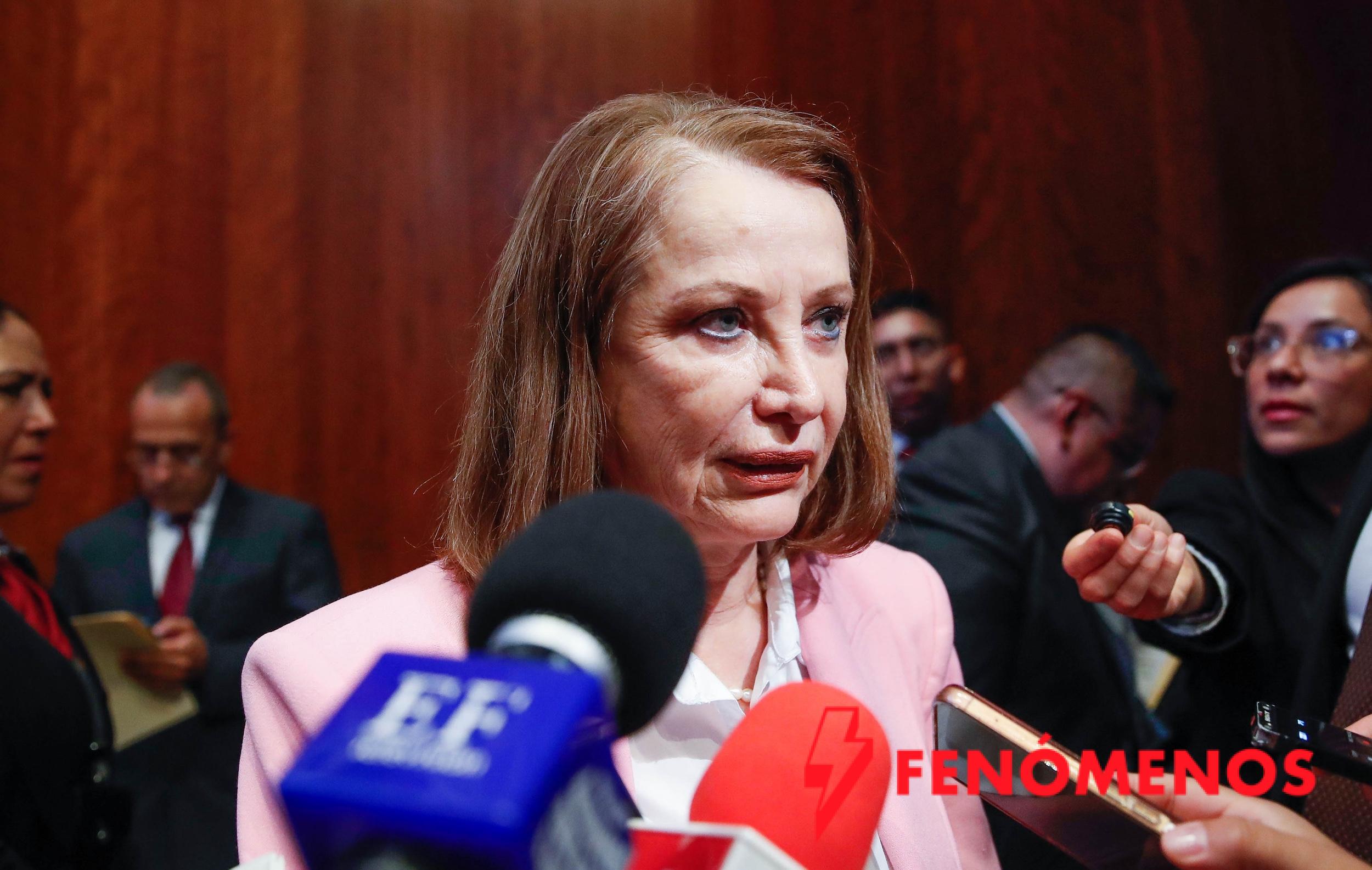 Celebra la senadora Laura Itzel Castillo el trabajo coordinado del Poder Legislativo a través de comisiones bicamerales