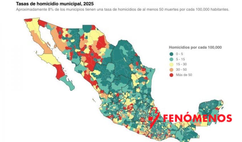 Tamaulipas, entre los estados más pacíficos del país y con mayor reducción de homicidios