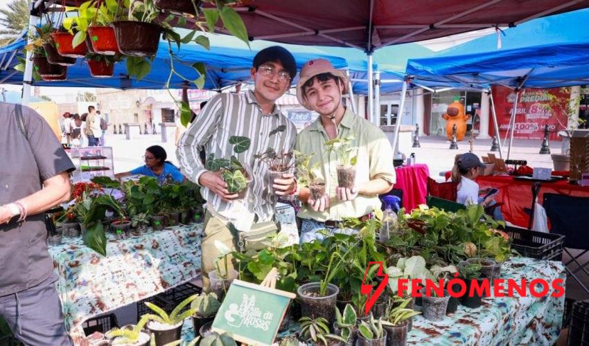 Exitoso impulso al talento joven en el “Mercado Tamaulipas Edición Reynosa”: INJUVE