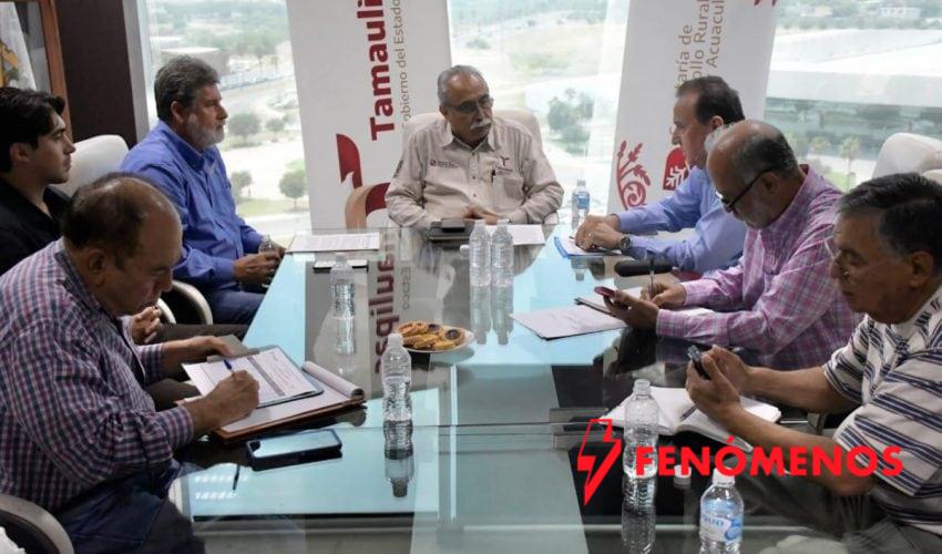 Analizan estrategias para diversificar la producción agrícola en Tamaulipas