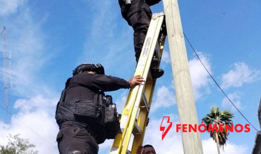 Avanza SSPT en combate al delito a través de la remoción de cámaras irregulares