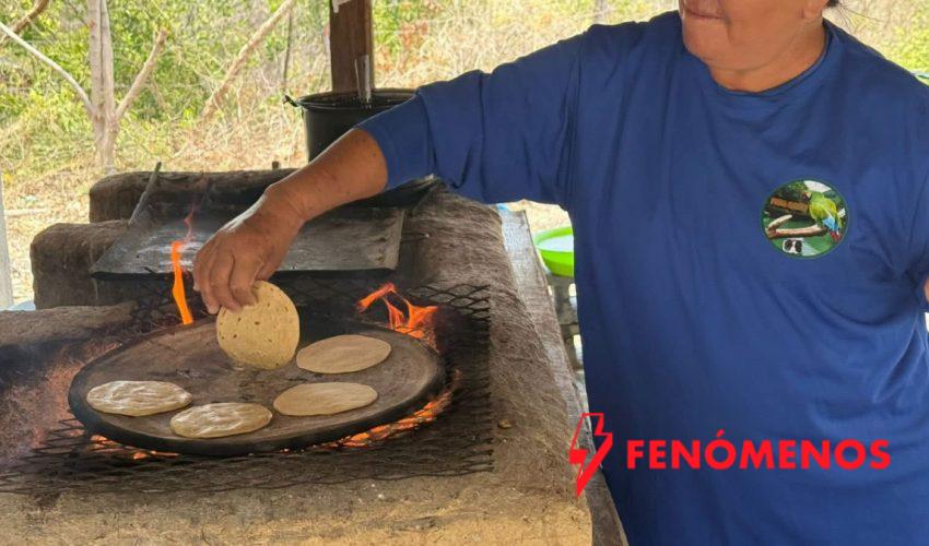 Tamaulipas te lleva al gol con Nueve Rutas de Fútbol