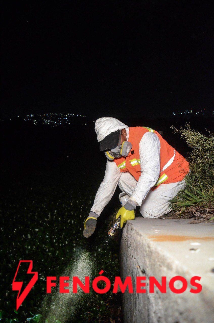 Refuerza Municipio de Querétaro acciones contra mosquitos en Querétaro 2000 y zonas aledañas