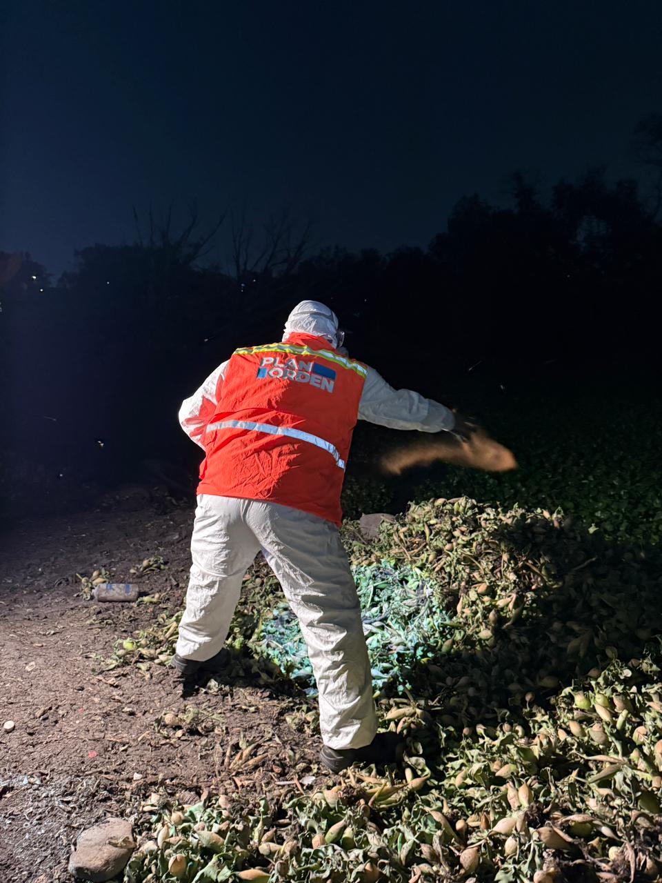 Imagen de Refuerza Municipio de Querétaro acciones contra mosquitos en Querétaro 2000 y zonas aledañas 19
