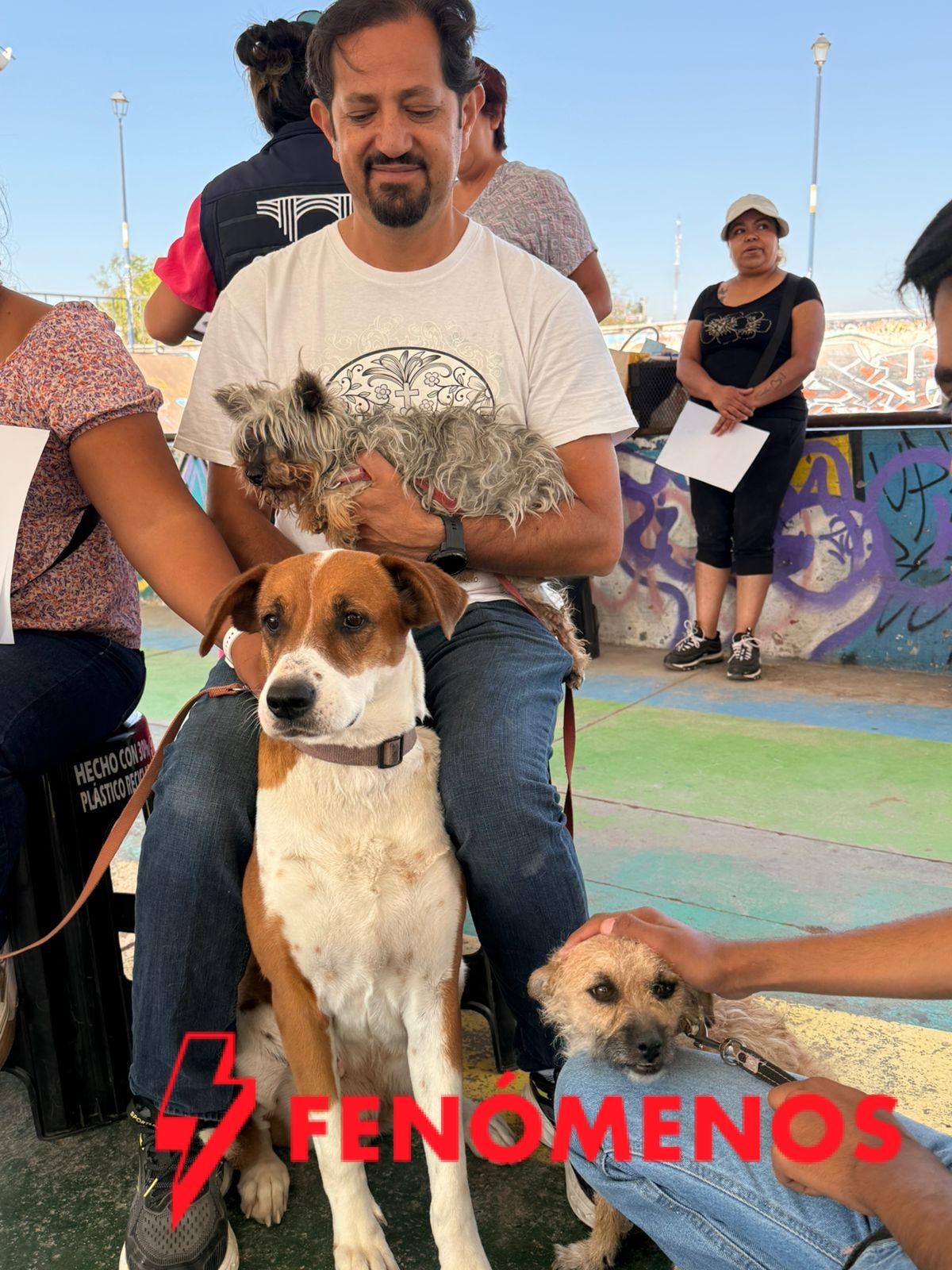 Fortalece Municipio de Querétaro acciones de bienestar animal en las siete delegaciones