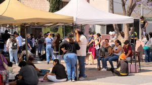 Imagen de Municipio de Querétaro presenta ante Cabildo Metropolitano programa de microchip de identificación para mascotas 2