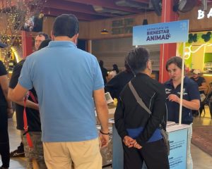 Imagen de Municipio de Querétaro presenta ante Cabildo Metropolitano programa de microchip de identificación para mascotas 3