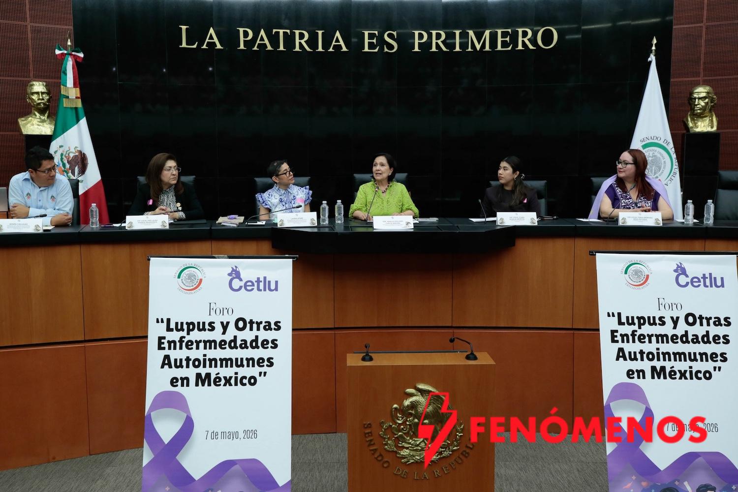 Avanza “Ley Lupus” en México: Amalia García