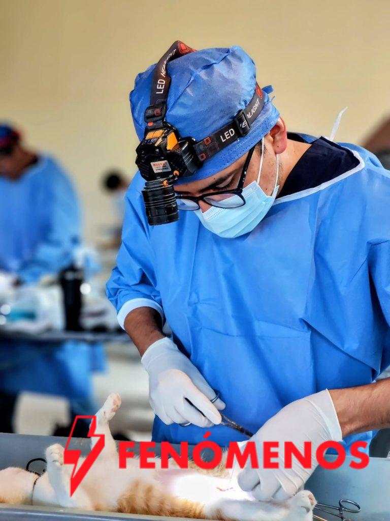 SSG programa 250 esterilizaciones gratuitas de perros y gatos en Celaya.