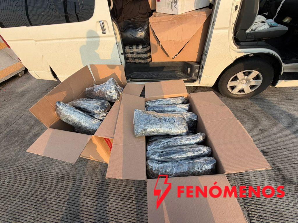 Operativo Blindaje Guanajuato: aseguran más de 400 mil dosis de droga y detienen a dos personas