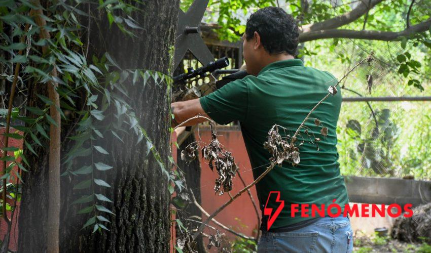 Libera Tamaulipas a jaguar rescatado tras recibir atención médica especializada
