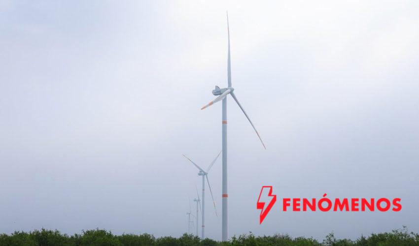 Incrementará Tamaulipas más de 2500 MW con proyectos eólicos