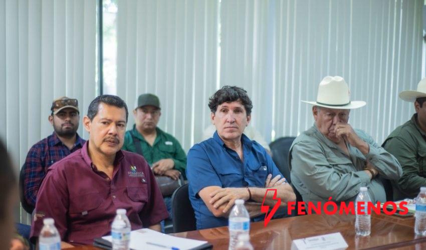 Fortalecen vigilancia fitosanitaria para contener el cancro de los cítricos