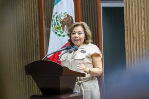 Imagen de Municipio de Querétaro, la sociedad civil organizada y la academia establecen la ruta para crear el primer sistema de cuidados y corresponsabilidad social de Querétaro 10
