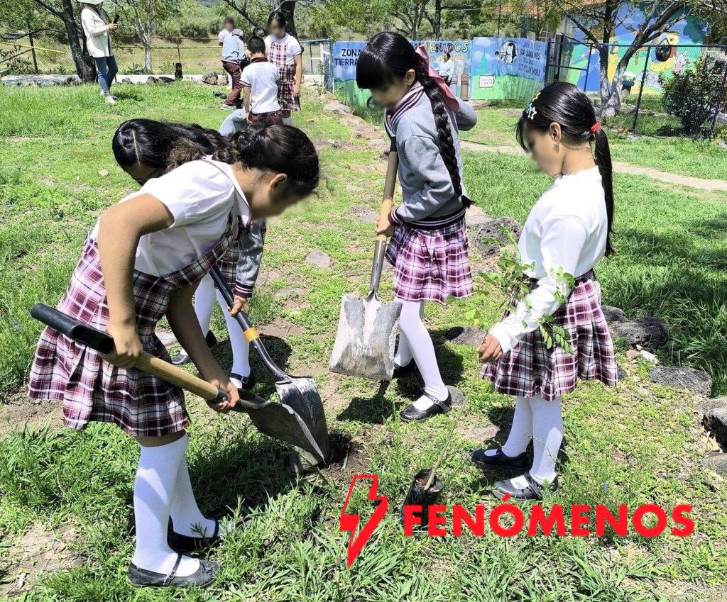 Procuraduría Ambiental inicia jornada de arborización en el estado