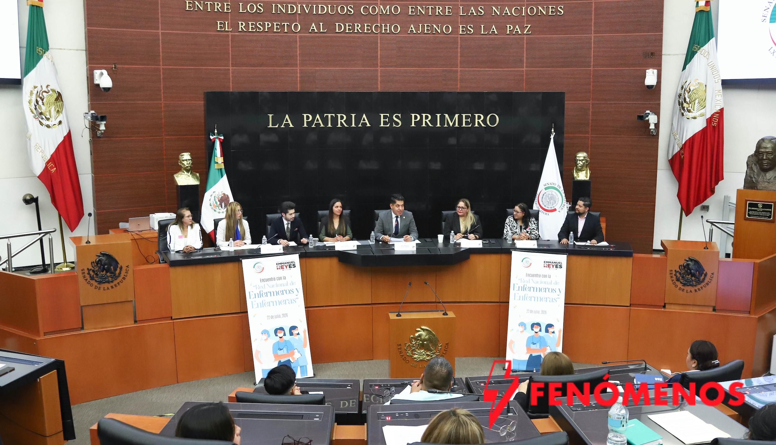 Profesionales de enfermería plantean propuestas en el Senado para fortalecer la salud pública