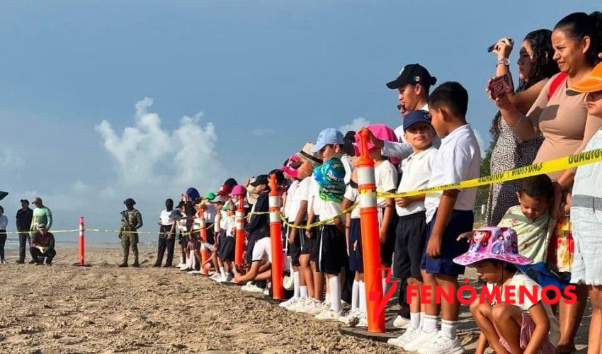 Fortalece Tamaulipas educación ambiental mediante liberación de crías de tortuga lora