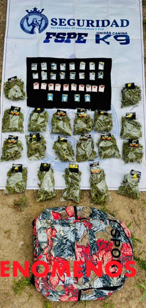 Detecta Unidad Canina K-9 más de 660 dosis de presunta droga y contribuye a una detención en Irapuato