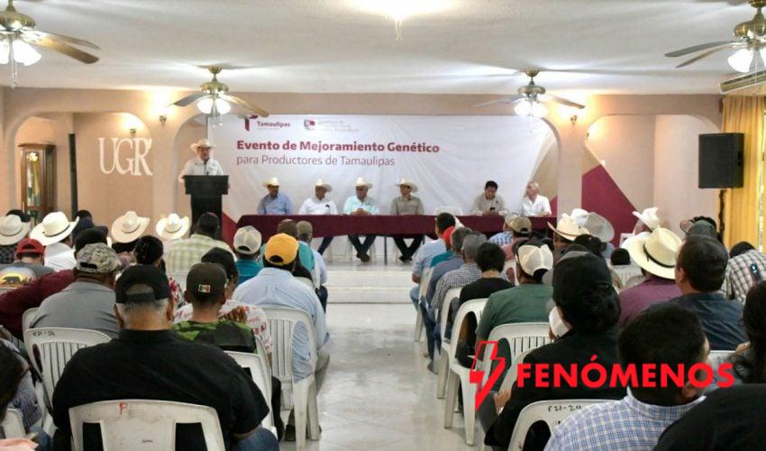 Impulsa Gobierno de Tamaulipas competitividad del sector ganadero