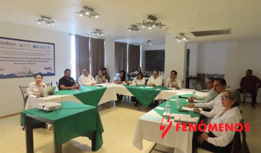 Impulsa Tamaulipas acciones estratégicas para la pesca sustentable del camarón