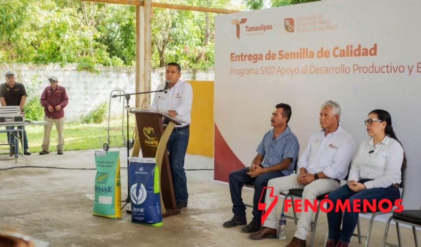 Fortalece Tamaulipas la producción agrícola con apoyos de semilla certificada