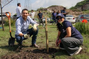 Imagen de Realiza Municipio de Querétaro jornada de reforestación en BLOQUE 4