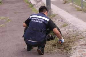 Imagen de Realizan trabajo comunitario más de 200 personas infractoras en primer semestre de 2026 15