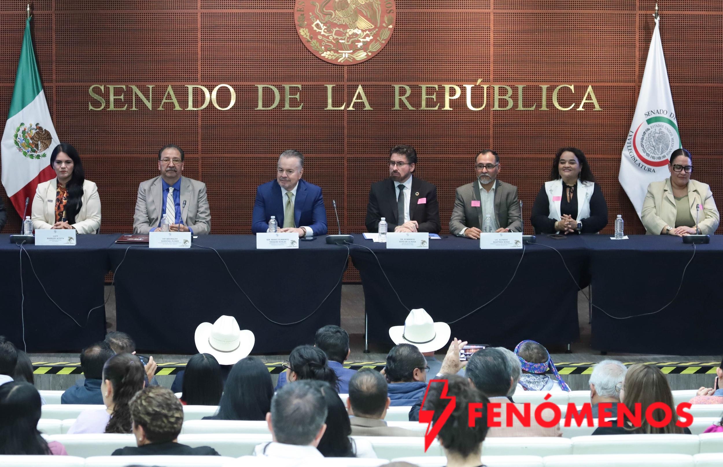 Analizan en el Senado problemática de los municipios para el desarrollo sostenible de México