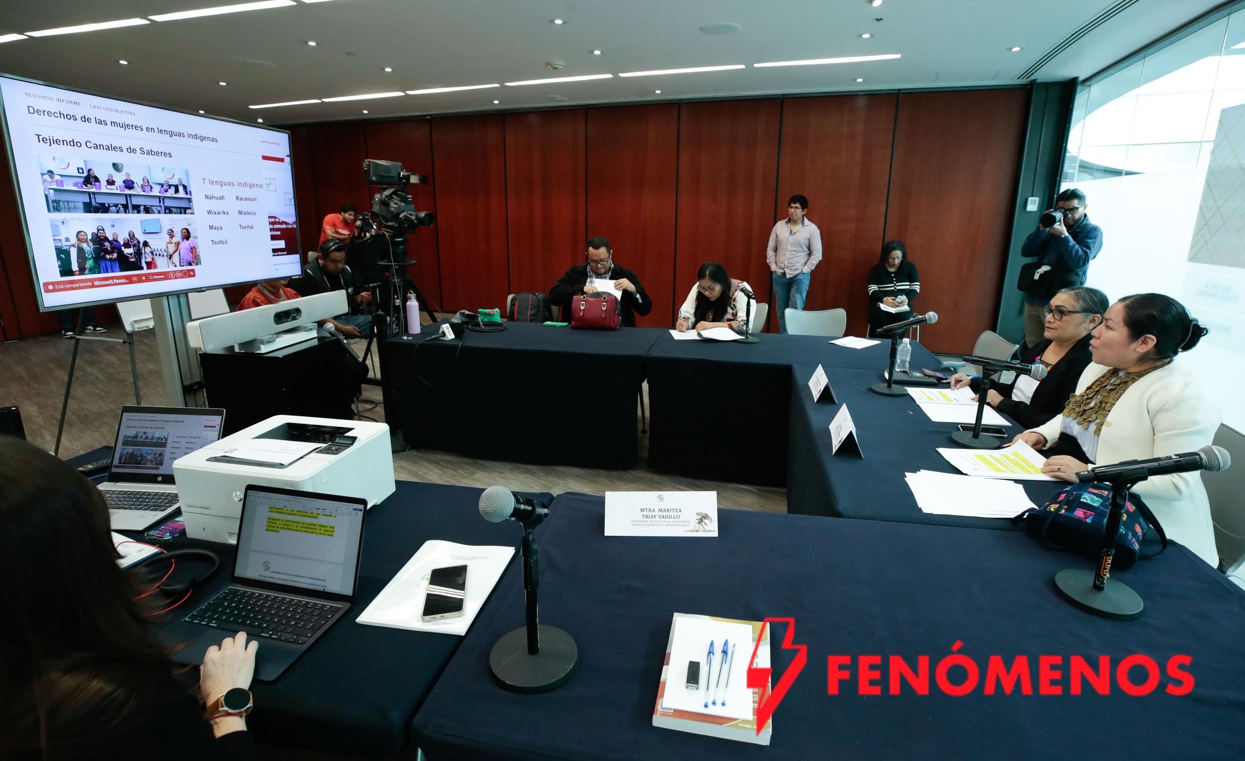 Presentan avances de la consulta sobre la iniciativa de Ley Indígena y Afromexicana