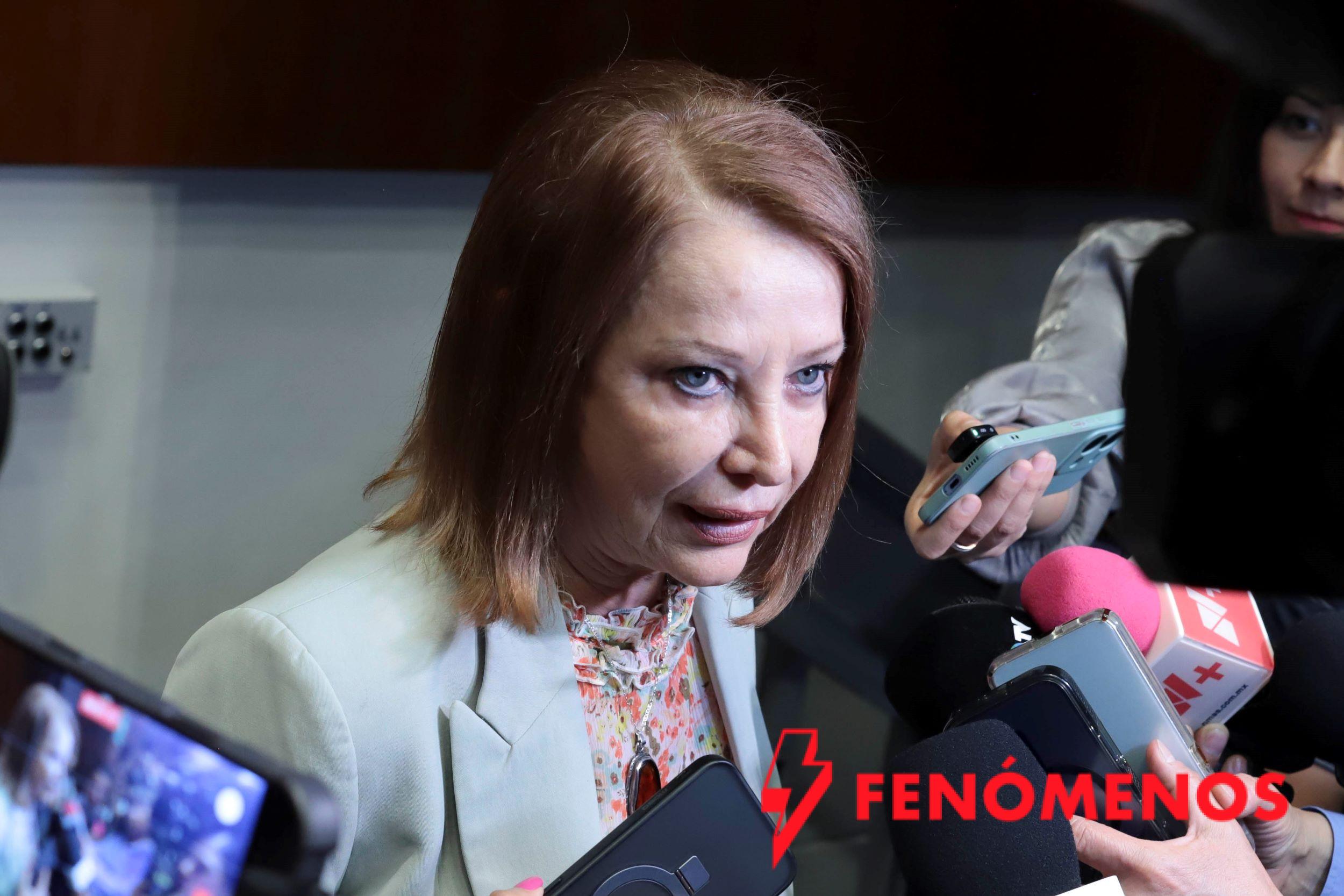 Recibirá el Senado propuestas sobre la Ley General en materia de feminicidio: Laura Itzel Castillo