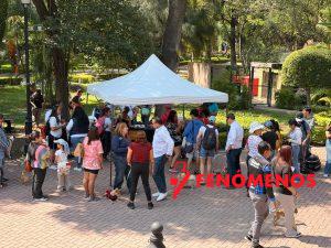 Acerca Municipio de Querétaro servicios de bienestar animal al Centro Histórico