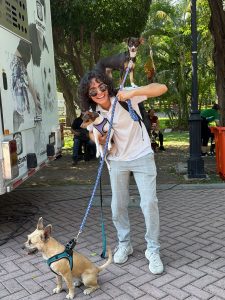 Imagen de Acerca Municipio de Querétaro servicios de bienestar animal al Centro Histórico 2