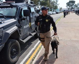 Imagen de Disminuyen delitos contra la integridad 17% en Querétaro: SESNSP 12