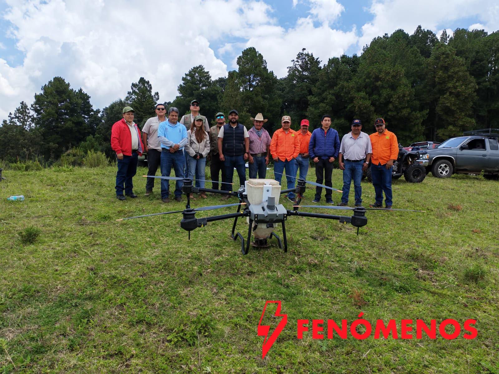 Restauran bosques de Tlalpujahua con la dispersión de 6 mil germoesferas