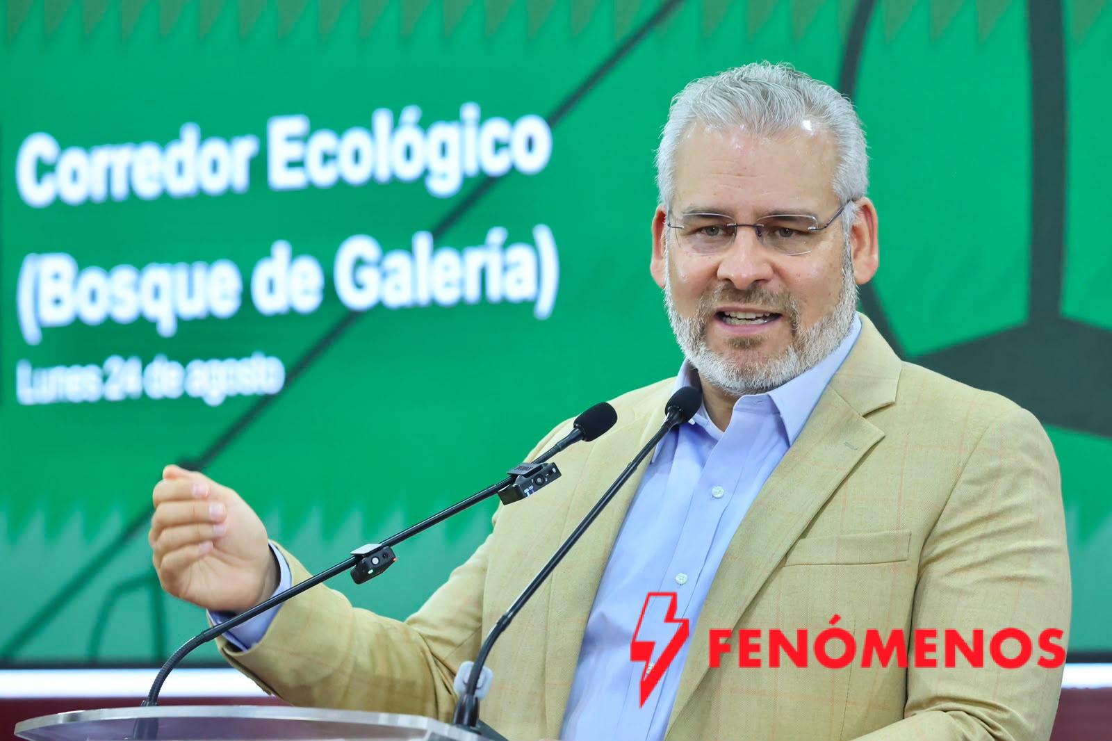 Arbolado de Tres Puentes se conserva; solo 27 ejemplares serán trasplantados: Bedolla