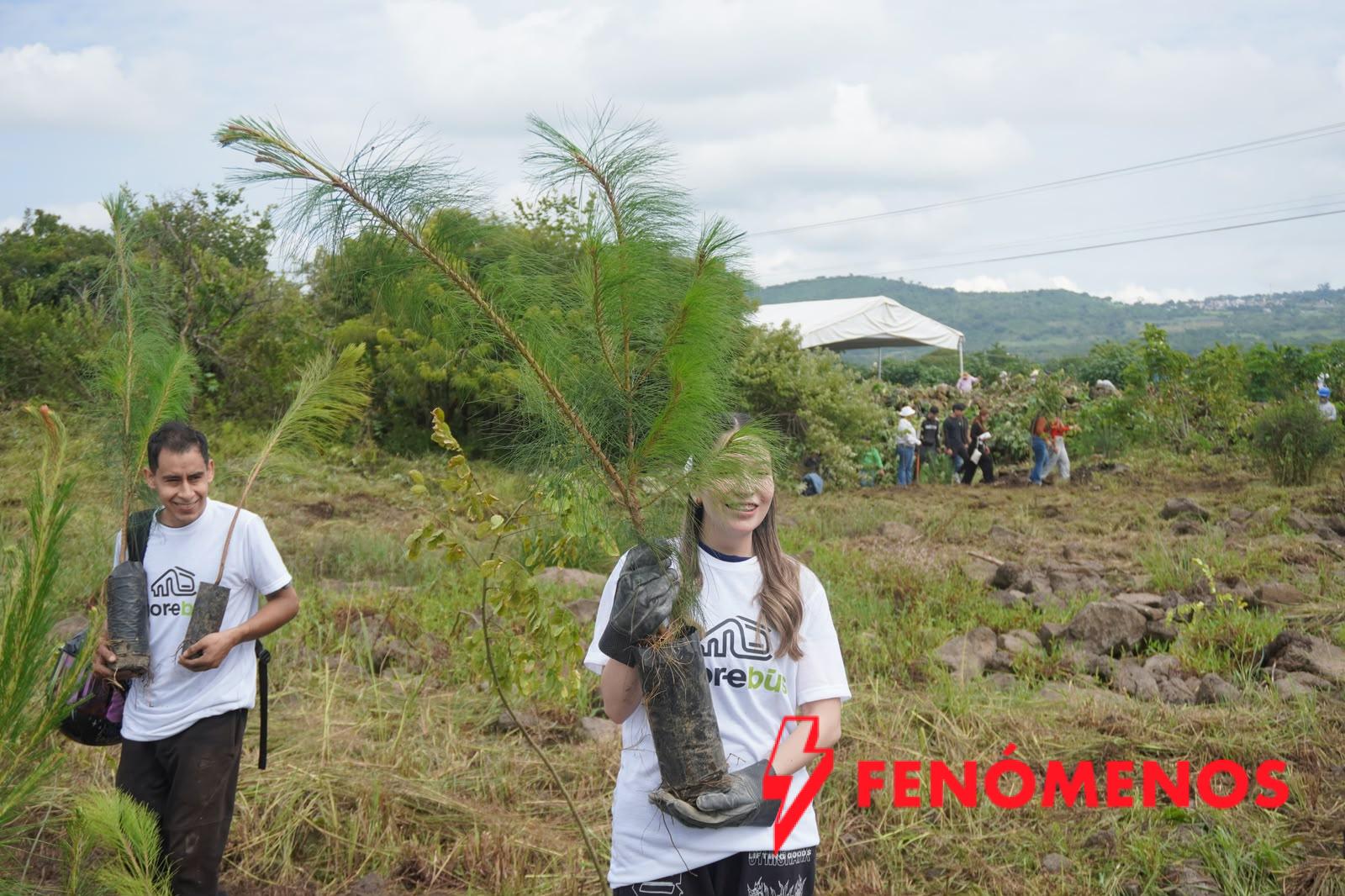 Zona de Tres Puentes contará con Corredor Ecológico; habrá árboles trasplantados y especies nativas