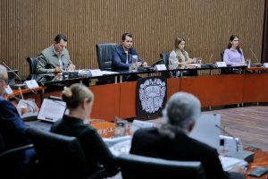 Imagen de Promueve Ayuntamiento de Querétaro acciones para la protección de los recursos naturales y la preservación del equilibrio ecológico 10