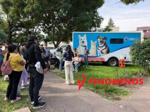 Fortalece Secretaría de Bienestar Animal acciones en favor de los animales de compañía