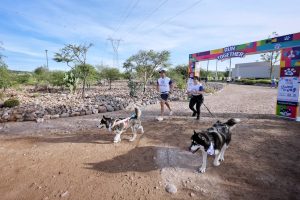 Imagen de Anuncia Felifer Macías tags de geolocalización en la primera Carrera de Bienestar Animal 2026 2
