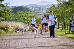 Imagen de Anuncia Felifer Macías tags de geolocalización en la primera Carrera de Bienestar Animal 2026 8
